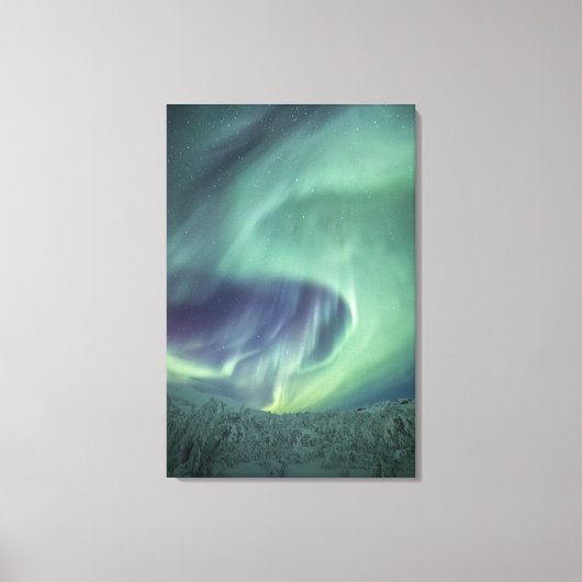 Toile Aurora Borealis (Recto)