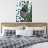 Toile Australia Kangaroo Island Koala in a Tree (Insitu(Chambre))