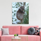 Toile Australia Kangaroo Island Koala in a Tree (Insitu(Salon))