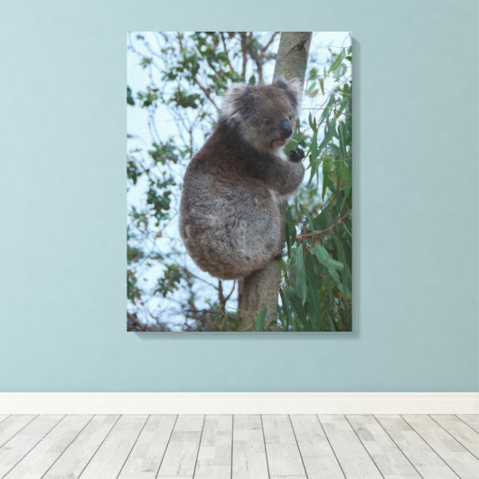 Toile Australia Kangaroo Island Koala in a Tree (Insitu (Plancher de Bois))