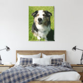Toile Australian Shepherd sourit devant la caméra (Insitu(Chambre))