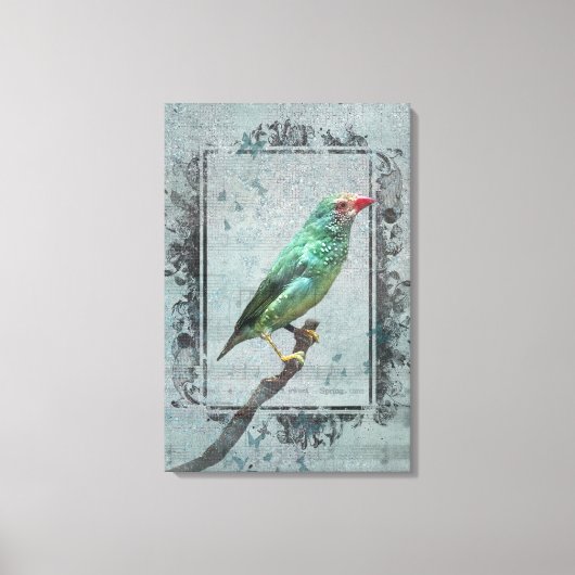 Toile Australian Star Finch sur la musique (Recto)