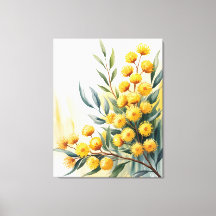 Australie — Aquarelle Golden Wattle
