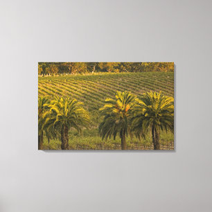Toile Australie, Australie-Méridionale, Barossa Valley,