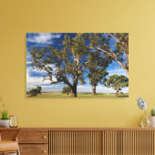 Toile Australie, Barossa Valley, Mount Pleasant (Insitu(Salon))