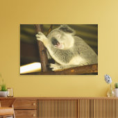 Toile Australie, Queensland, Brisbane. Arborescence des  (Insitu(Salon))