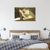 Toile Australie, Queensland, Brisbane. Arborescence des  (Insitu(Chambre))