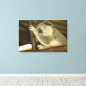 Toile Australie, Queensland, Brisbane. Arborescence des  (Insitu (Plancher de Bois))