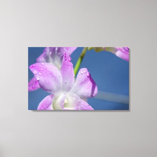 Toile Australie, Territoires du Nord, Darwin (Recto)