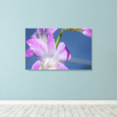 Toile Australie, Territoires du Nord, Darwin (Insitu (Plancher de Bois))