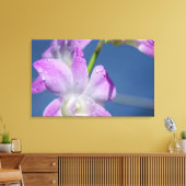 Toile Australie, Territoires du Nord, Darwin (Insitu(Salon))