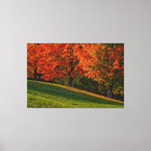 Toile Automne En Nouvelle-Angleterre Galerie Wrap Canvas (Recto)
