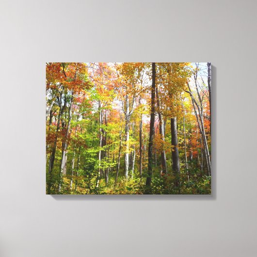 Toile Automne Forêt I Automne Paysage Photographie (Recto)