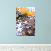 Toile Automne le long de Bishop Creek, CA (Insitu (Plancher de Bois))