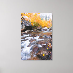 Toile Automne le long de Bishop Creek, CA