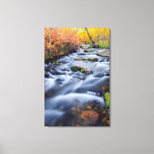 Toile Automne le long de Lundy Creek, Californie (Recto)