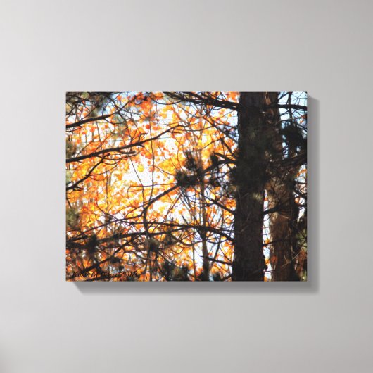 Toile Automne parmi les pins (Recto)