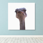 Toile autruche (Insitu (Plancher de Bois))