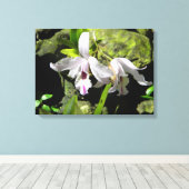 Toile aux orchidées blanches (Insitu (Plancher de Bois))