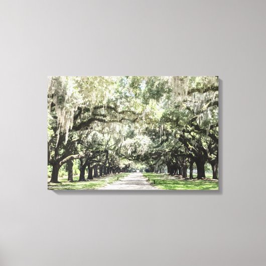 Toile Avenue des Chênes, Boone Hall Plantation Aquarelle (Recto)
