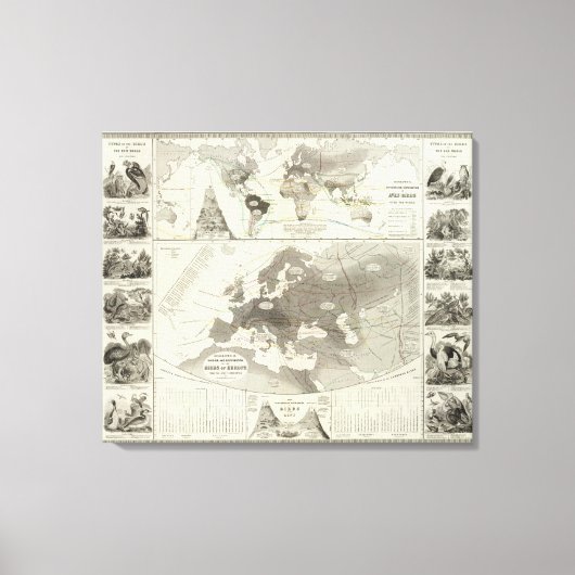 Toile Aves, Oiseaux (Recto)