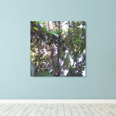 Toile Avocatier - Garniture vert olive (Insitu (Plancher de Bois))
