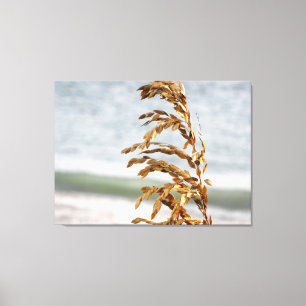 Toile Avoine de mer, Brise marine