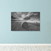 Toile B&W Barley Field 2 (Insitu (Plancher de Bois))