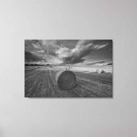Toile B&W Barley Field 2 (Recto)