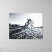 Toile B+W Namib Arbre du désert (Recto)