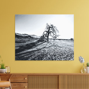 Toile B+W Namib Arbre du désert