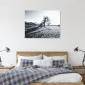 Toile B+W Namib Arbre du désert (Insitu(Chambre))