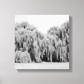 Toile B&W Willow Trees larvaires (Recto)