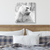 Toile babouin africain (Insitu(Chambre))