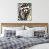 Toile Baby Raccoon (Insitu(Chambre))