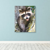 Toile Baby Raccoon (Insitu (Plancher de Bois))