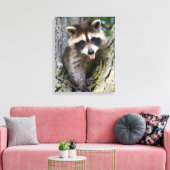 Toile Baby Raccoon (Insitu(Salon))