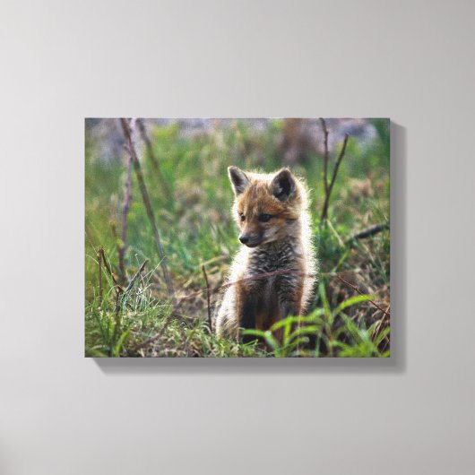 Toile Baby Red Fox (Recto)