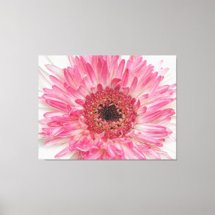 Toile Baby shower rose Fleur - Rose Design