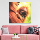 Toile Baby Sumatran Orangutan (Insitu(Salon))