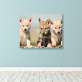 Toile Baby Wolves (Insitu (Plancher de Bois))