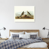 Toile Bague à bascule des oiseaux d'Amérique d'Audubon (Insitu(Chambre))
