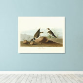 Toile Bague à bascule des oiseaux d'Amérique d'Audubon (Insitu (Plancher de Bois))