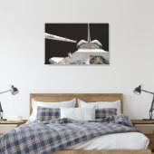 Toile Baie de chargement de Space Shuttle Discovery (Insitu(Chambre))