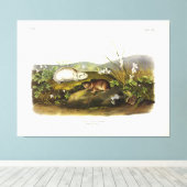Toile Baie d'Hudson (Collared Ungava) Lemming par Audubo (Insitu (Plancher de Bois))