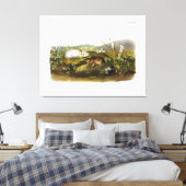 Toile Baie d'Hudson (Collared Ungava) Lemming par Audubo (Insitu(Chambre))