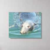 Toile Baignade de phoque mignonne en Cape Cod Canvas Art (Recto)
