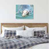 Toile Baignade de phoque mignonne en Cape Cod Canvas Art (Insitu(Chambre))