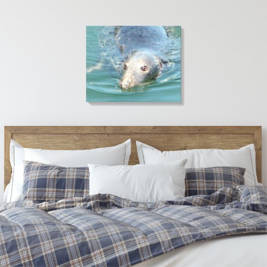 Toile Baignade de phoque mignonne en Cape Cod Canvas Art (Insitu(Chambre))