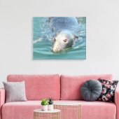 Toile Baignade de phoque mignonne en Cape Cod Canvas Art (Insitu(Salon))